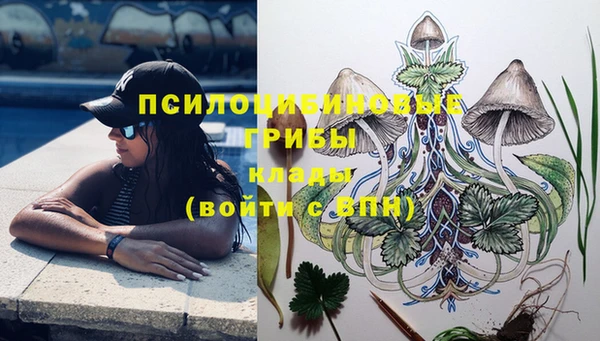 эйфоретик Павлово