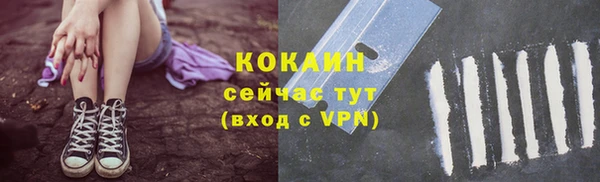 герыч Пересвет