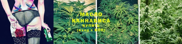 герыч Пересвет
