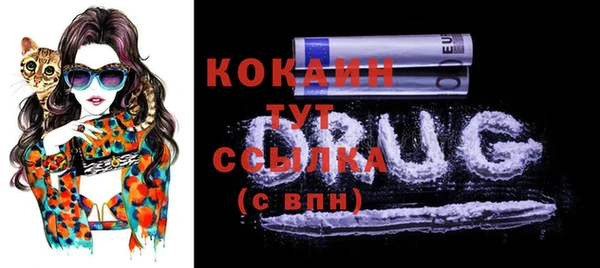 герыч Пересвет